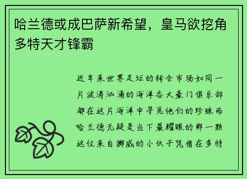 哈兰德或成巴萨新希望，皇马欲挖角多特天才锋霸